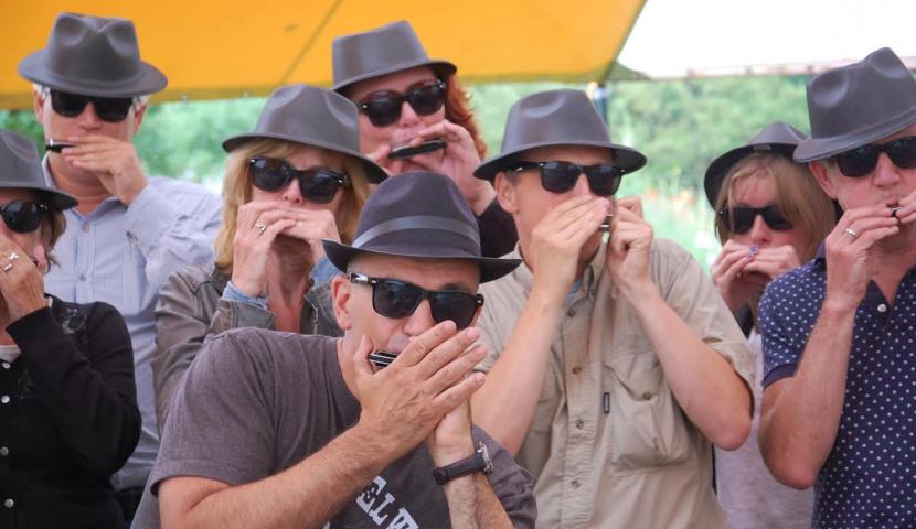 Mondharmonica: Workshops Aalst